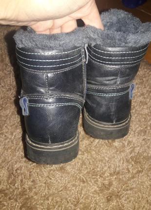 Чобітки зимові