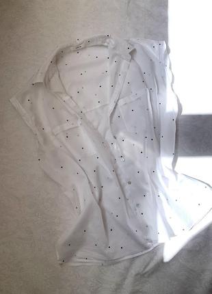 Безрукавка в горох бавовна l xl