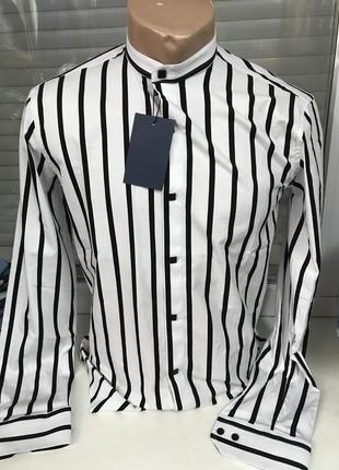 Стильна сорочка з коміром стійкою