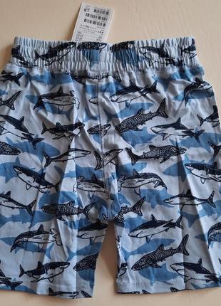 Хлопковые шорты h&m англия 104-140 см 3-10 лет для мальчика с принтом акулы5 фото