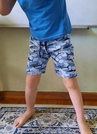 Хлопковые шорты h&m англия 104-140 см 3-10 лет для мальчика с принтом акулы3 фото