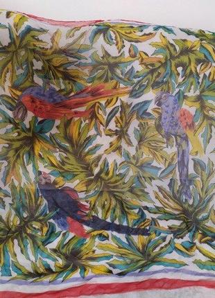 Шикарный лёгкий палантин платок с попугаями попугай листья4 фото