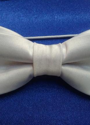 Метелик білий