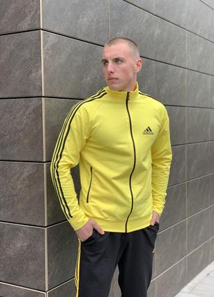 Чоловічі спортивні костюми adidas2 фото