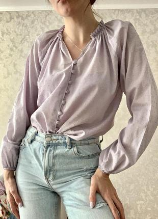 Бузкова блуза на ґудзиках