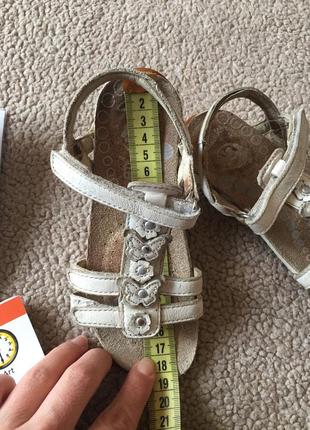 Шкіряні clarks 5