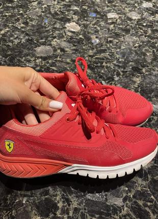 Кросівки puma