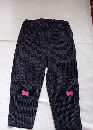 Лосини лосіни