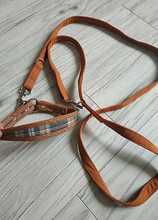 Повідець + шлейка для собаки