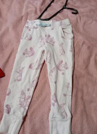 Спортивні штани