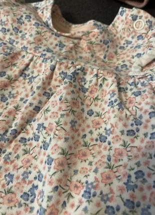 Боді-сукня, боді плаття hm