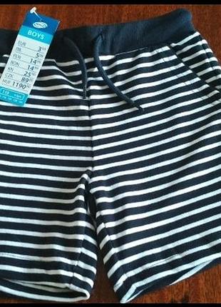 Шорти  110