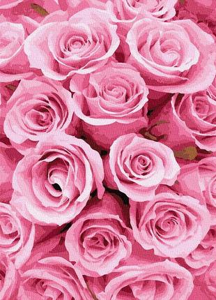 Картина по номерам охапка розовых роз 6