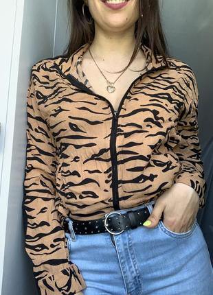 Тигровая рубашка на змейке с лампасами 🐅 na-kd3 фото