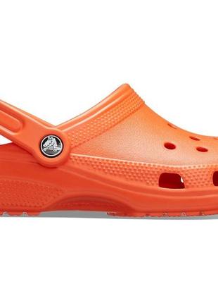 Скидка! crocs classic, крокси сабо классик3 фото