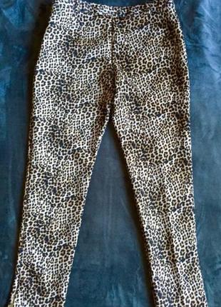 Леопардовые зауженные брюки высокая посадка5 фото
