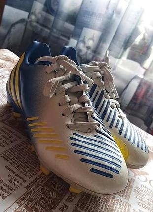 Бутцы adidas predator absolado