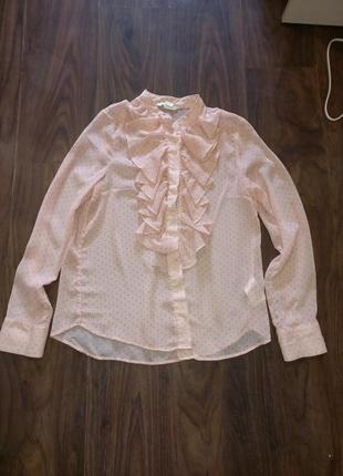 Пудрова сорочка, блузка в дрібний горошок з рюшами3 фото