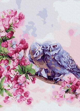 Картина за номерами закохані совушки браш