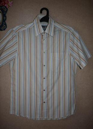 Рубашка короткий рукав полоска актуальный принт