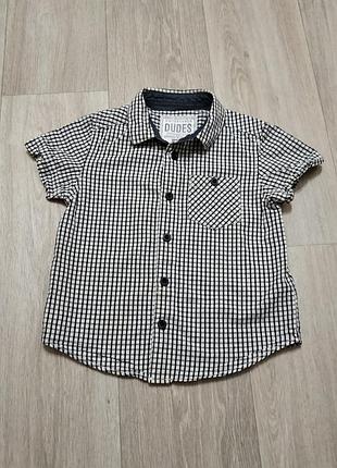 Рубашка, тениска в клеточку