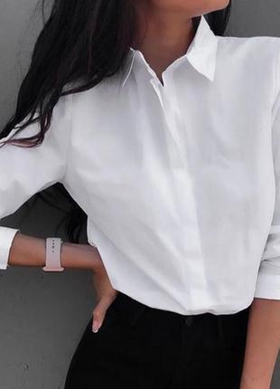Блуза белая.1 фото