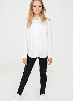 Трегинсы h&m