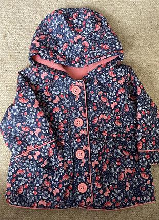 Вітровка george