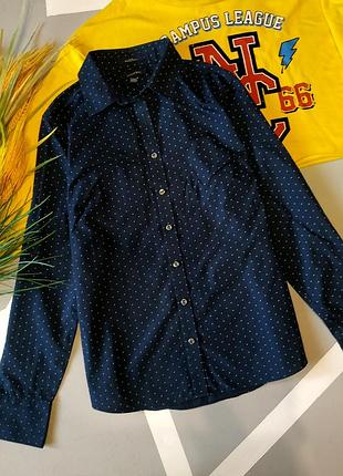 Стильная рубашка в горошек прямая горох длинный рукав хлопковая