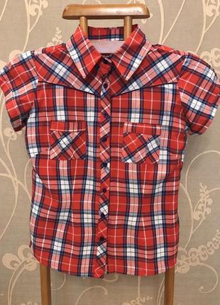 Дуже гарна і стильна брендовий сорочка в клітку..100% коттон.