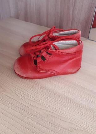 Тапочки для малышей 5