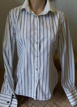Брендовая рубашка белая синяя полоска приталенный силуэт-gaastra- голландия1 фото