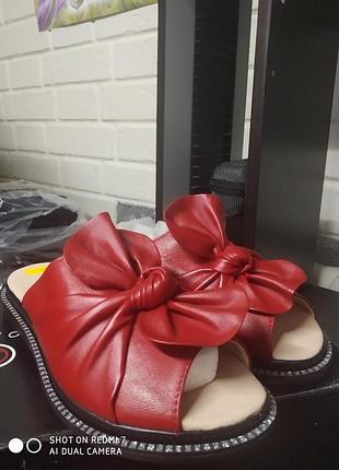 Шльопанці шкіра 36-23,5,37/24/