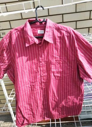 Нова шведка, бавовна,2-3хл