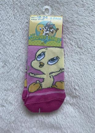 Шкарпетки, шкарпетки