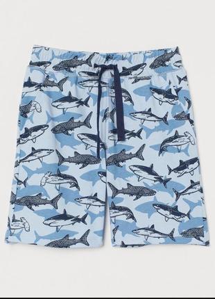 Шорти з акулами від h&m