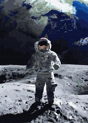 Картина по номерам на луне 61 фото
