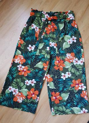 Кюлоты, бриджи, брюки, шорты