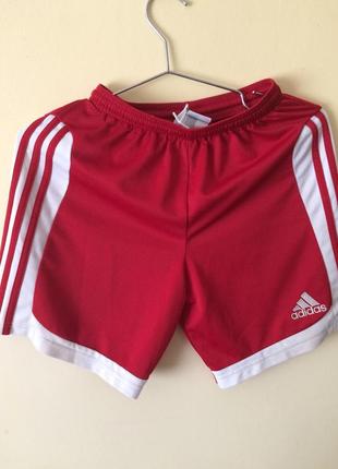 Шорти adidas