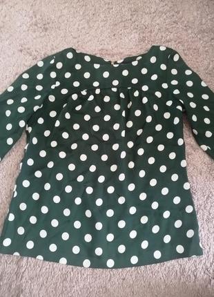 Блуза зелёная в горошек zara1 фото