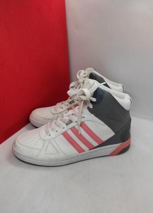 Кроссовки adidas neo women hoops team mid shoes aw4855 оригинал