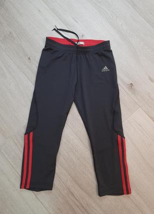 Спортивні капрі бриджі adidas m 38