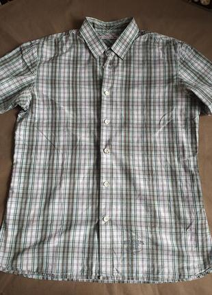 Шикарная фирм.рубашка