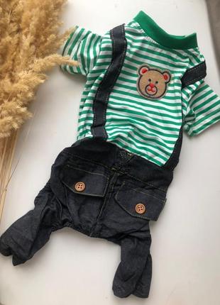 Костюм для маленькой собачки / песика / кота