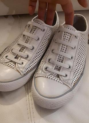 Кеди ash оригінал + подарунок силіконові резинові кеди