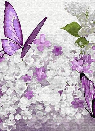 Картина за номерами фіолетова метелик на бузку 6