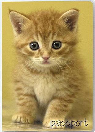 Обкладинка для паспорта "рудий кошеня"