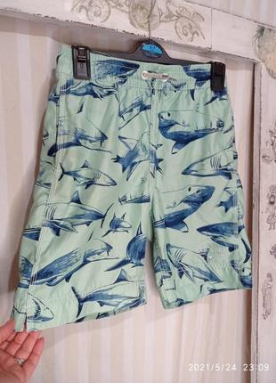 Пляжные шорты с акулами gapkids 10-11лет