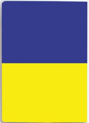 Обложка для паспорта "флаг украины"2 фото