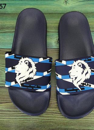 Мужские шлепанцы со львом, сланцы в разных цветах, sanlin5 фото